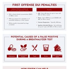 The Role of Fines in Felony Convictions in Indiana